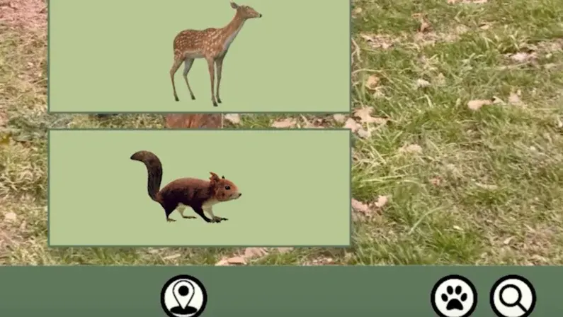 Die tierischen Begleiter, die man in der VR-App Waldlupe auswählen kann.