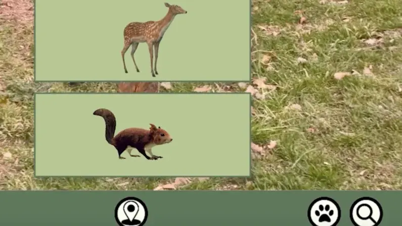 Die tierischen Begleiter, die man in der VR-App Waldlupe auswählen kann.