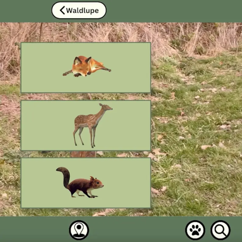 Die tierischen Begleiter, die man in der VR-App Waldlupe auswählen kann.